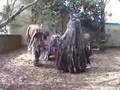 Lady Marmalade Monster Dance by Gore Galore