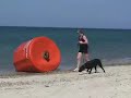 A beach and it\