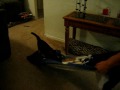 Towel surfing...part 2!