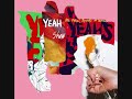 Yeah yeah yeahs – Mr You're On Fire Mr