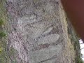 ten no kata + tekki 1