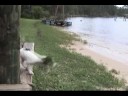 Jewel Jumping