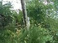 Real Climbing Act