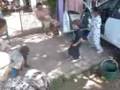 videos de dany y yaque
