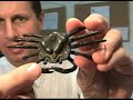 Japanese Crab Statue - Heike Samurai Face Kani Okimono
