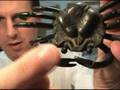 Japanese Crab Statue - Heike Samurai Face Kani Okimono