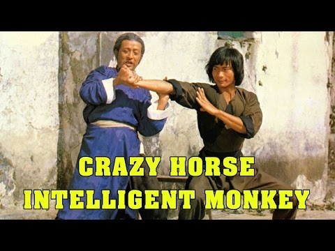 Wu Tang Collection - Crazy Horse and Intelligent Monkey