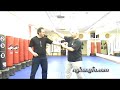 Lama Pai & Hop Gar Kung-Fu Discussions # 2