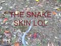 just a ride deep in my woods saw a snake skin no biggy