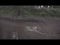 jetlag2222 Just another dirty video