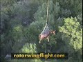 LAFD Helicopter Horse Rescue LAFD Helicopter Horse Rescue