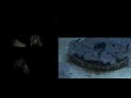 Jellies at the Akron Zoo - Sony CX12 low light test film