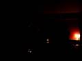A.human supporting Cibelle at Bush Hall - Black Moon
