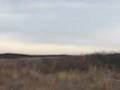 Oklahoma Sand Hills and Plum Thickets