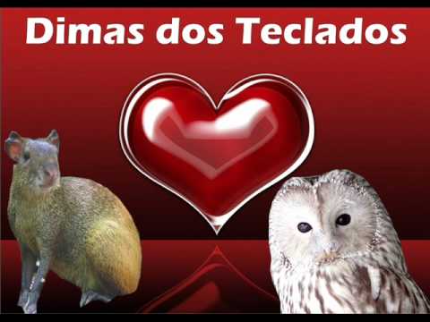 Dimas e seus Teclados - A coruja e a Cotia