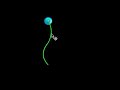 Flash Floating Bubbles [Macromedia Flash Tutorial]