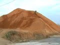 sandberg-action.html