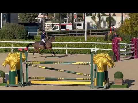 SUNDANCE PRINSEVELD - MET OLIVA - FEBRUARY 2026