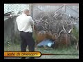 Teste de vidro blindado