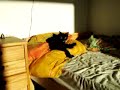 cunnilingus-slangonyms-a-slide-show.html