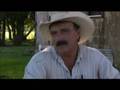 Cow pig of Bonney Texas