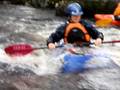 videos de Dart 20081122_a