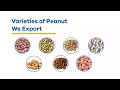 Download Varieties Of Peanuts Wholesale Exporters Geewin Exim Mp3 Song