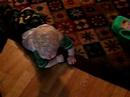 Rand doing the army crawl