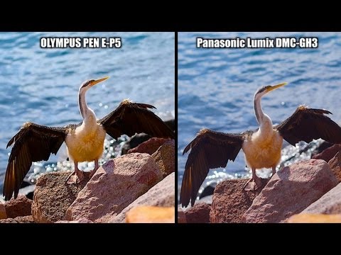 ep5 - By request, the GH3 vs E-P5 in a shot for shot video shootout. Olympus PEN E-P5 vs Panasonic Lumix DMC-GH3. Presented without commentary for your own decisio...