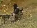 Albanian Terrorist Organization in Kumanovo, Macedonia