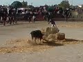 fete votive AM meilleur moment au plan 2