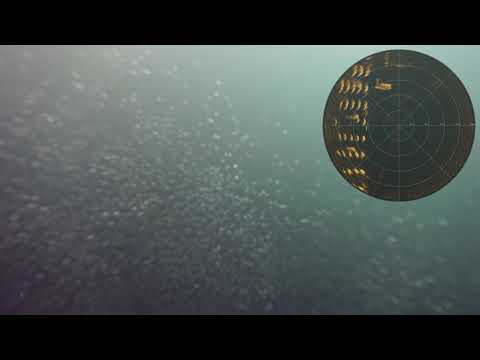 MRS900L with BlueROV