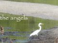 Angels Come