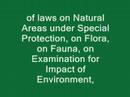 Love nature, protect nature, be nature. Save Teghut forest!