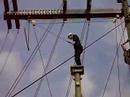 Leap of Faith