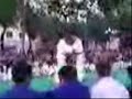 pelea de judo  cinturones negro 