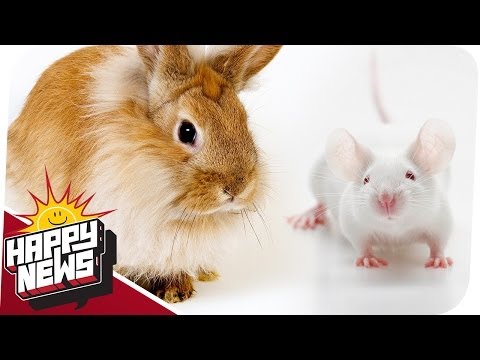 Nie wieder Tierversuche & das Klopapier-Prinzip! - HAPPY NEWS