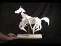 Build: Kinetic Horse