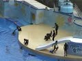 ocean park,sea lion show and dolphin  cont\