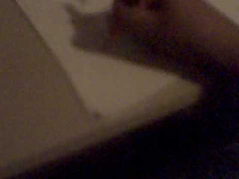 how to draw spy vs spy