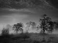 circular ruins - jorge luis borges movie trailer