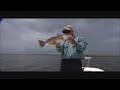 Buras, LA Redfish