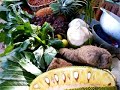 Jamaica: Caribbean. Culinary Tours- Travel Video PostCards™
