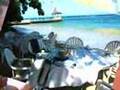 Jamaica: Caribbean. Culinary Tours- Travel Video PostCards™