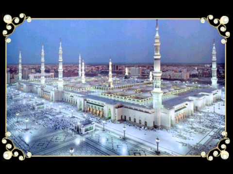 IDRISIA -