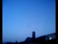 The Birds...