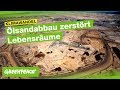 Westkanada: Ölsandabbau zerstört eine Region