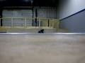 videos de Jake Hardrath - Sweet Bail