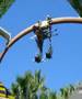 Wasserchefs in Florida - Universal Island of Adventure