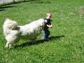 Great Pyr and Nephew